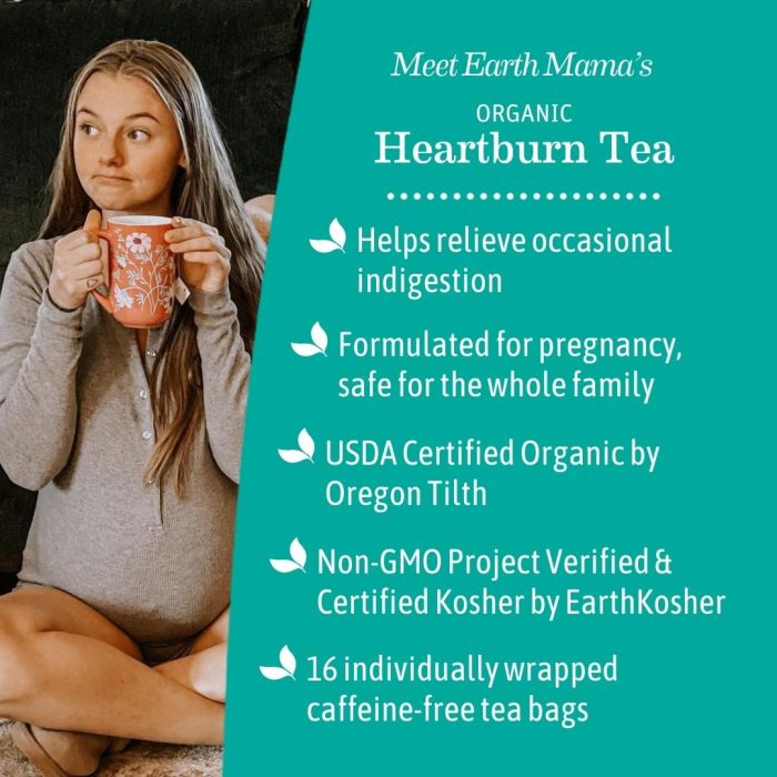 Earth Mama Organic Heartburn Tea - Image 4