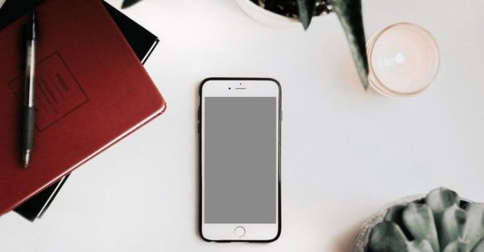 Returning Client Phone Consultation - Sleep