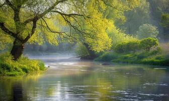 a-tranquil-riverbank-lined-with-budding-trees-and-vibrant-greenery-spring-nature-background-photo