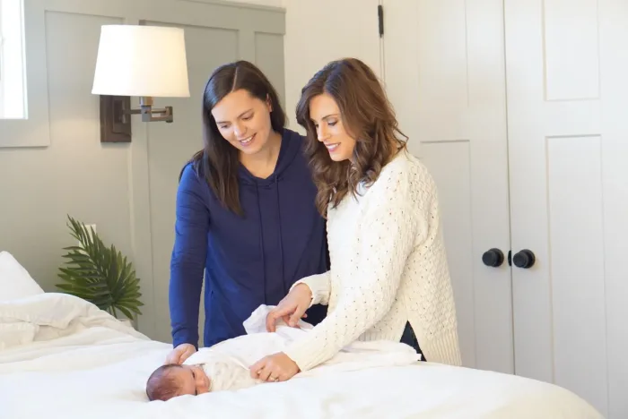 Daytime Support – Single Baby - Postpartum Doula Support (Virtual Anywhere or In-Person in Sonoma County)